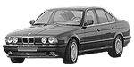 BMW E34 B216F Fault Code