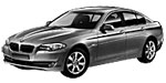 BMW F10 B216F Fault Code
